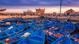 1-Day Essaouira Coastal Escape from Marrakech